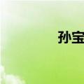 孙宝刚（关于孙宝刚简介）