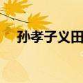 孙孝子义田记（关于孙孝子义田记简介）