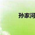 孙家河村（关于孙家河村简介）