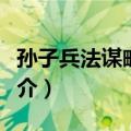 孙子兵法谋略新解（关于孙子兵法谋略新解简介）