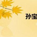 孙宝镛（关于孙宝镛简介）