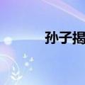 孙子揭秘（关于孙子揭秘简介）