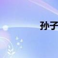 孙子良（关于孙子良简介）