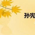 孙宪武（关于孙宪武简介）