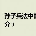 孙子兵法中的智慧（关于孙子兵法中的智慧简介）