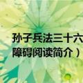 孙子兵法三十六计 无障碍阅读（关于孙子兵法三十六计 无障碍阅读简介）