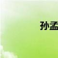 孙孟建（关于孙孟建简介）
