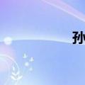 孙定（关于孙定简介）