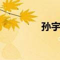 孙宇明（关于孙宇明简介）