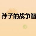 孙子的战争智慧（关于孙子的战争智慧简介）