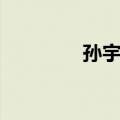 孙宇贤（关于孙宇贤简介）