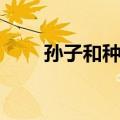 孙子和种子（关于孙子和种子简介）