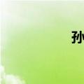 孙帅（关于孙帅简介）