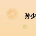 孙少安（关于孙少安简介）