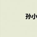 孙小兵（关于孙小兵简介）