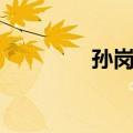 孙岗乡（关于孙岗乡简介）