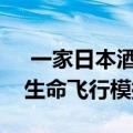  一家日本酒店在其中一间客房内建造了一个生命飞行模拟器