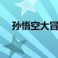 孙悟空大冒险（关于孙悟空大冒险简介）