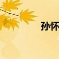 孙怀东（关于孙怀东简介）