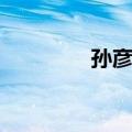 孙彦顺（关于孙彦顺简介）