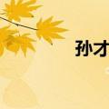 孙才华（关于孙才华简介）