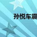孙悦车震门（关于孙悦车震门简介）