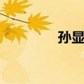 孙显春（关于孙显春简介）