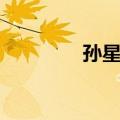 孙星阁（关于孙星阁简介）