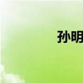 孙明岚（关于孙明岚简介）