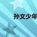 孙文少年行（关于孙文少年行简介）