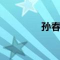 孙春玲（关于孙春玲简介）