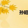 孙昭艳（关于孙昭艳简介）