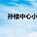孙楼中心小学（关于孙楼中心小学简介）