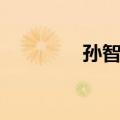 孙智敏（关于孙智敏简介）