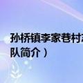 孙桥镇李家巷村志愿服务队（关于孙桥镇李家巷村志愿服务队简介）