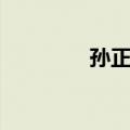 孙正中（关于孙正中简介）