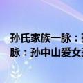 孙氏家族一脉：孙中山爱女孙婉人生探析（关于孙氏家族一脉：孙中山爱女孙婉人生探析简介）