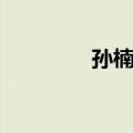 孙楠楠（关于孙楠楠简介）