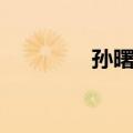 孙曙光（关于孙曙光简介）
