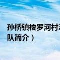 孙桥镇梭罗河村志愿服务队（关于孙桥镇梭罗河村志愿服务队简介）