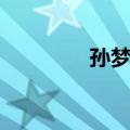 孙梦观（关于孙梦观简介）