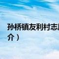 孙桥镇友利村志愿服务队（关于孙桥镇友利村志愿服务队简介）