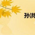 孙洪勋（关于孙洪勋简介）