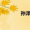 孙泽宇（关于孙泽宇简介）
