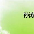 孙涛垒（关于孙涛垒简介）