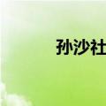 孙沙社区（关于孙沙社区简介）