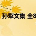 孙犁文集 全8册（关于孙犁文集 全8册简介）
