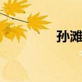 孙滩村（关于孙滩村简介）
