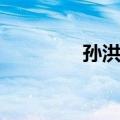 孙洪斌（关于孙洪斌简介）