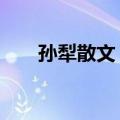 孙犁散文 下（关于孙犁散文 下简介）